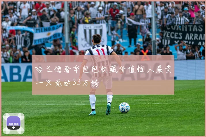 哈兰德奢华包包收藏价值惊人最贵一只竟达33万镑