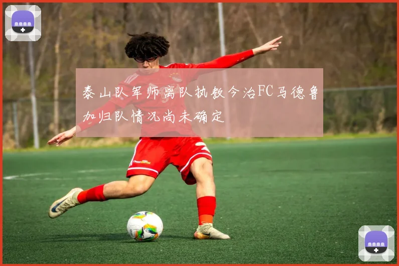 泰山队军师离队执教今治FC马德鲁加归队情况尚未确定